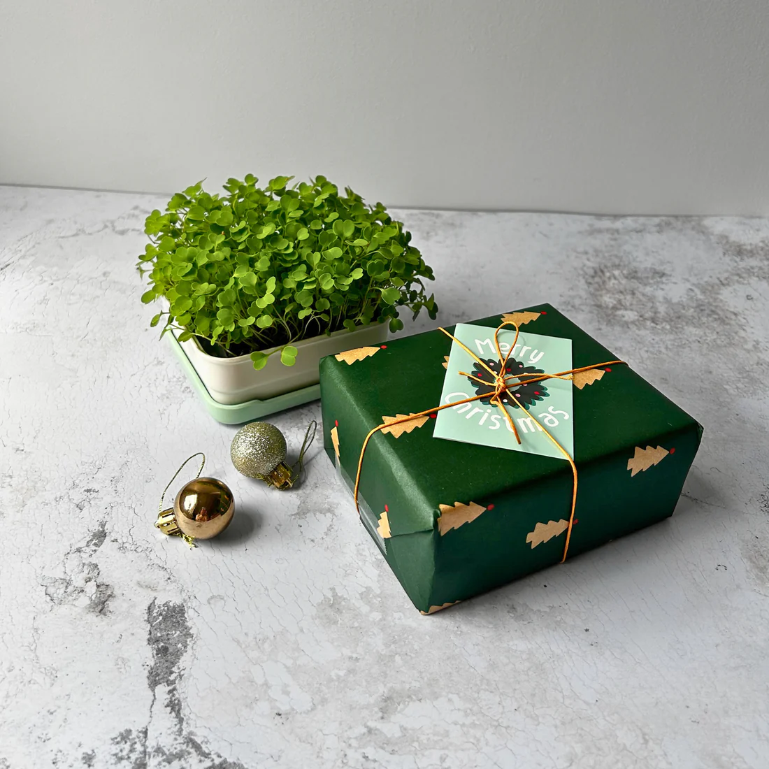 Seed Cube feeding problem visual