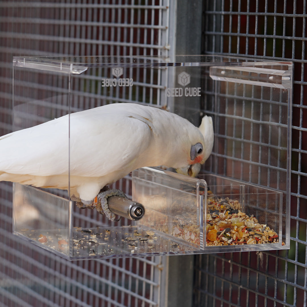 Bird feeder bundle for large parrots - Seed Cube

