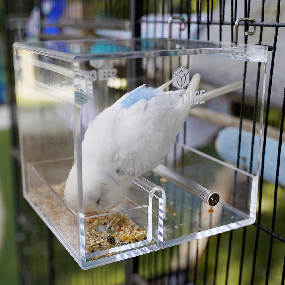 Clean feeding combo for parakeets – Seed Cube