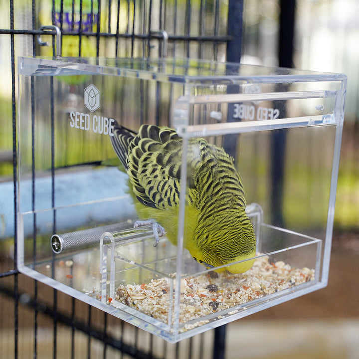 Compact bird feeder and tray bundle – Seed Cube