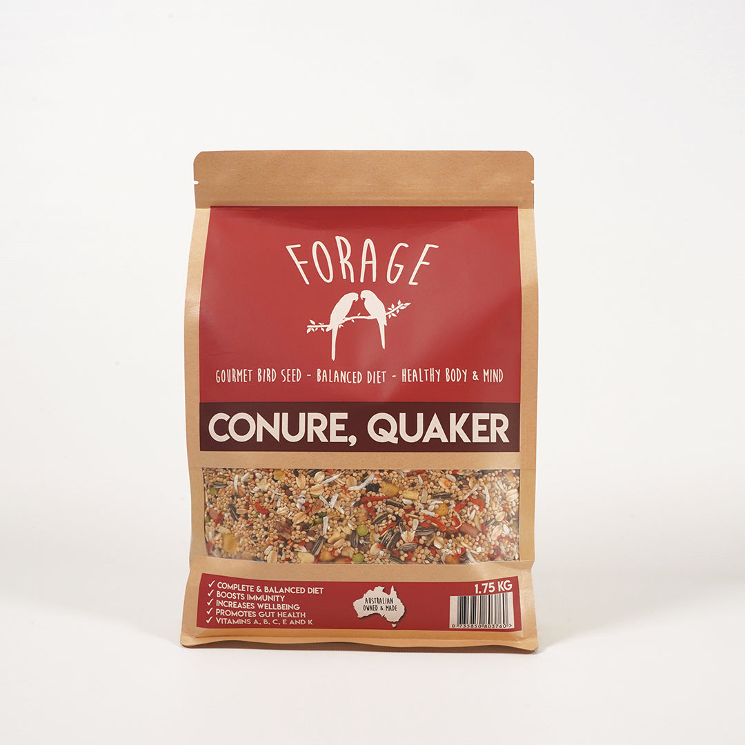 Immunity boosting Forage Gourmet seed mix for Conure and Quaker vitality
