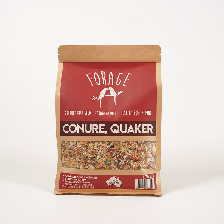 Immunity boosting Forage Gourmet seed mix for Conure and Quaker vitality

