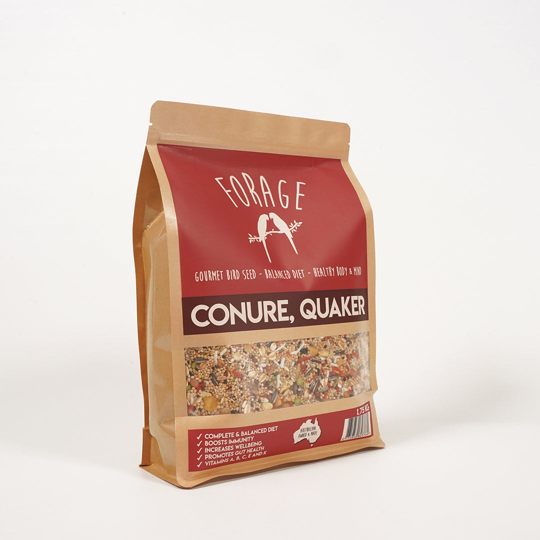 Forage Gourmet Conure and Quaker seed for strong, vibrant feathers
