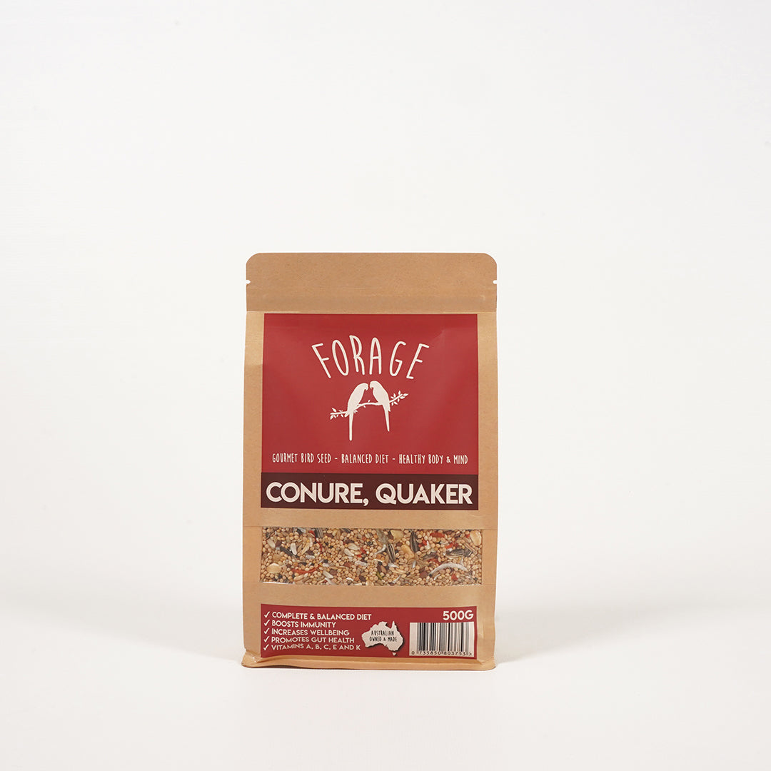 Forage Gourmet Conure and Quaker specialty seed blend for balanced nutrition
