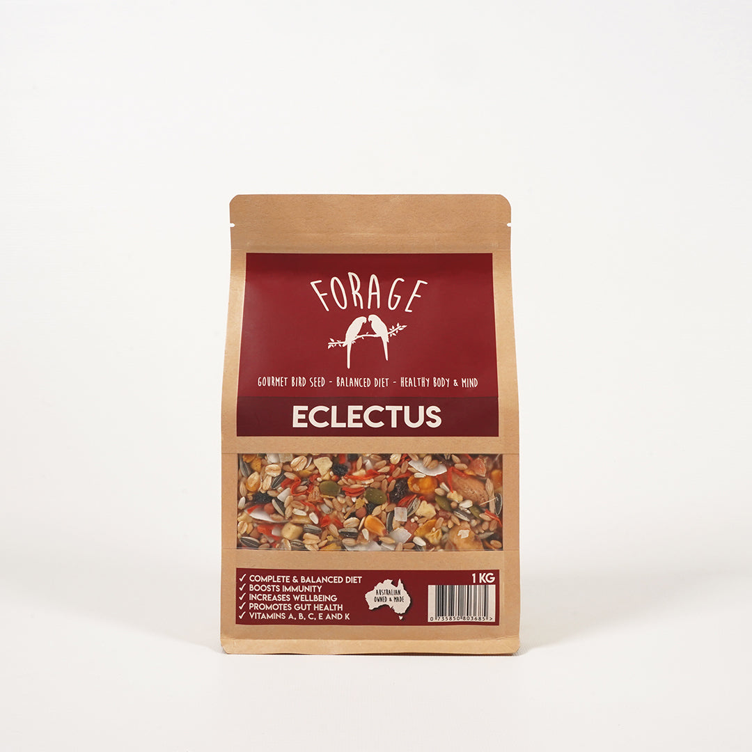 Australian Forage Gourmet seed blend for Eclectus parrot health
