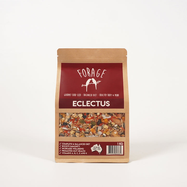 Australian Forage Gourmet seed blend for Eclectus parrot health
