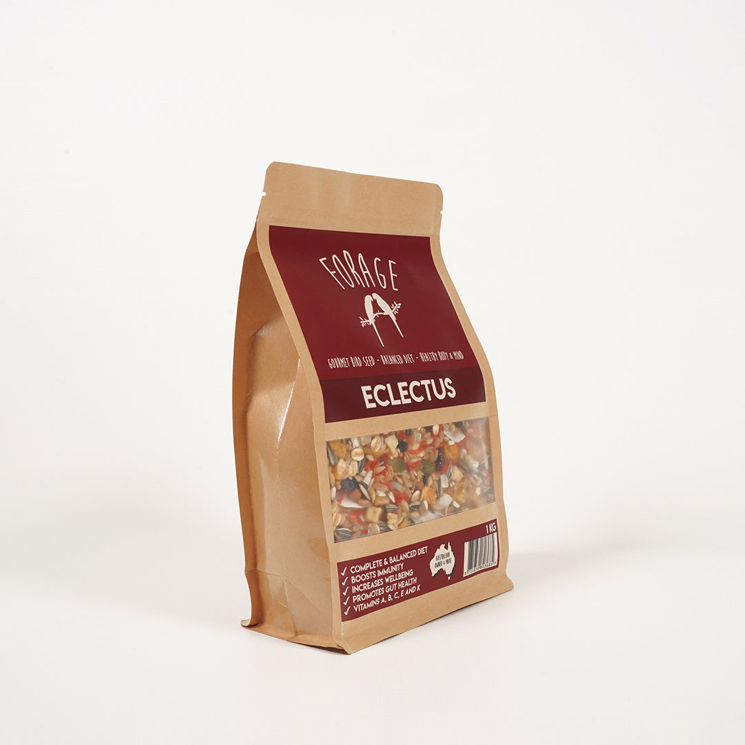 Forage Gourmet Eclectus seed for enhancing feather condition
