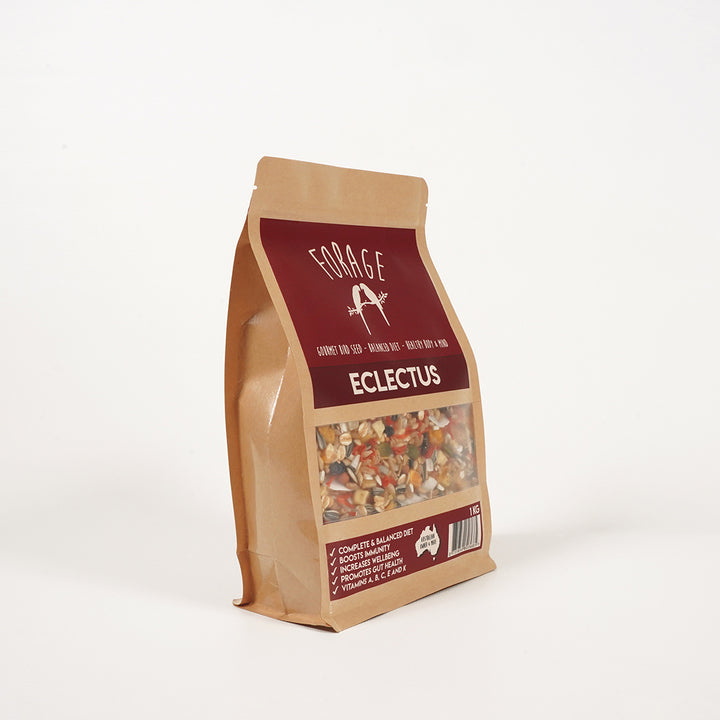 Forage Gourmet Eclectus seed for enhancing feather condition
