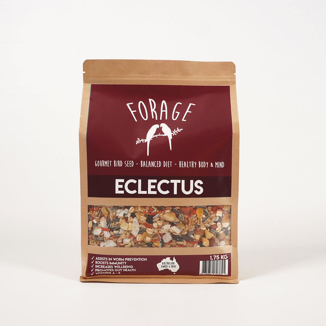 Immunity boosting Forage Gourmet seed mix for Eclectus parrot vitality
