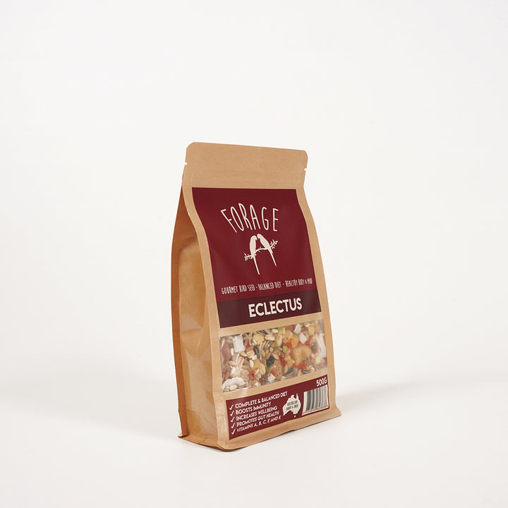 Premium Forage Gourmet seed blend for Eclectus parrots
