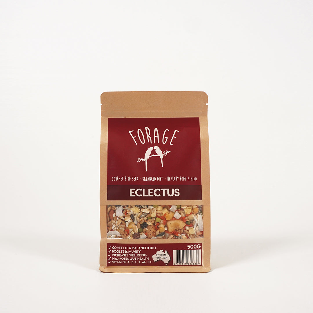 forage-gourmet-eclectus-specialty-seed-blend
