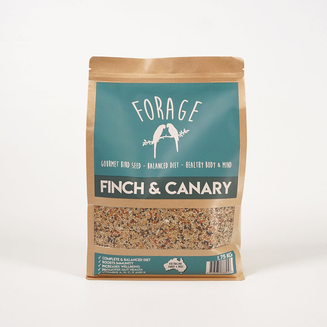 Immunity boosting Forage Gourmet seed mix for Finch and Canary vitality
