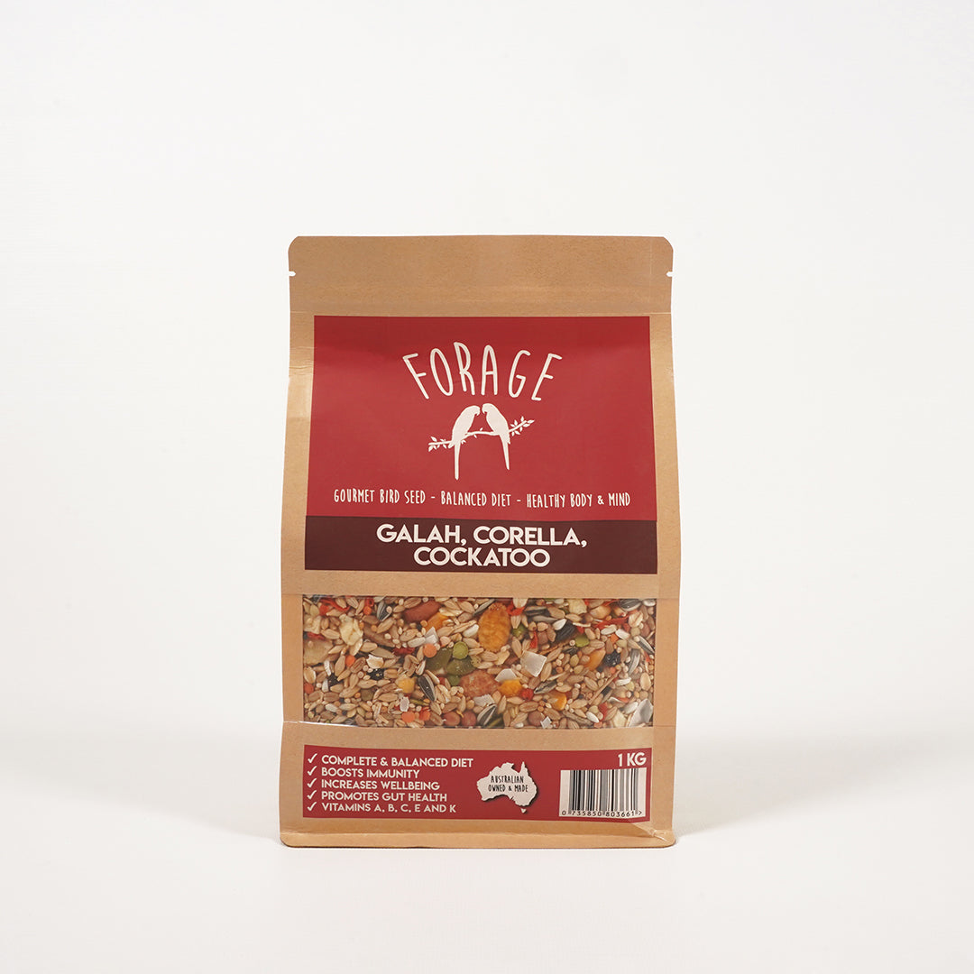 Australian Forage Gourmet seed blend for Galah, Corella & Cockatoo health
