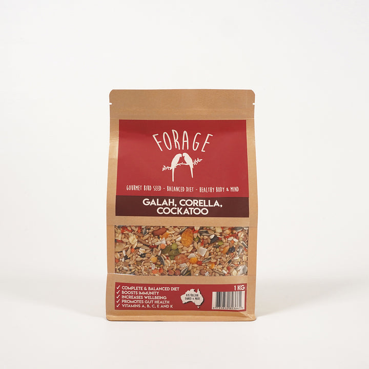 Australian Forage Gourmet seed blend for Galah, Corella & Cockatoo health
