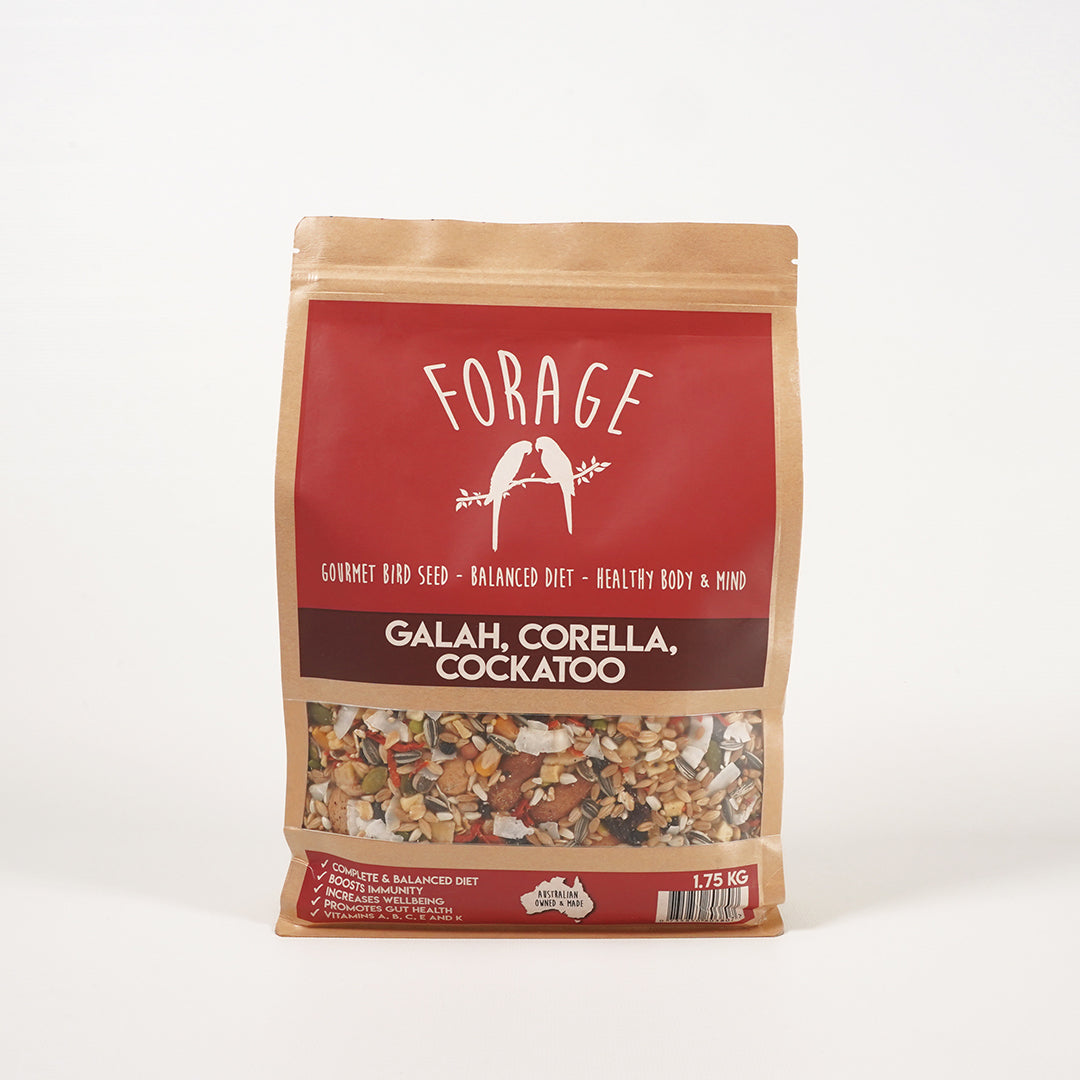 Immunity boosting Forage Gourmet seed mix for Galah, Corella & Cockatoo vitality
