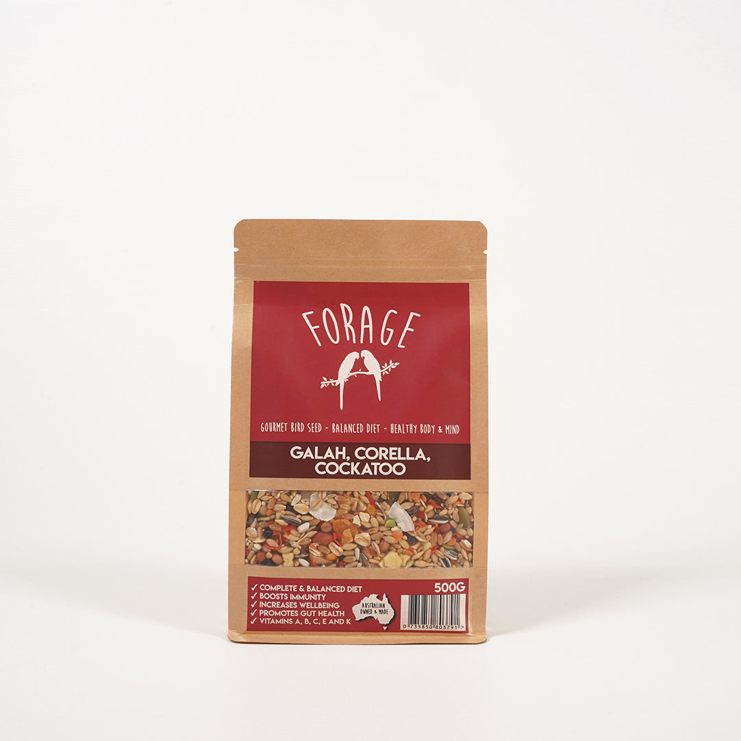 Forage Gourmet Galah, Corella & Cockatoo specialty seed blend for balanced nutrition
