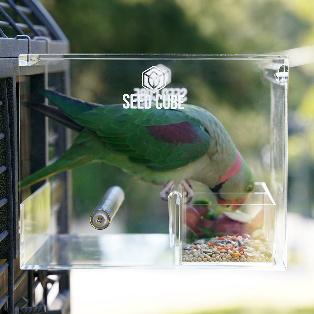 Mess-free feeding solution for galahs and conures and alexandrines