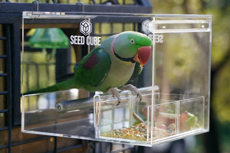 Which size suits an alexandrine?
