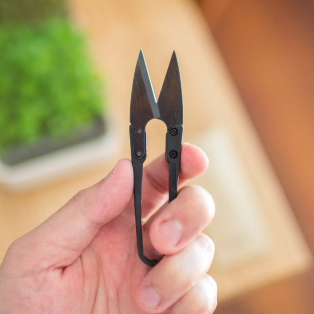 Micropod Micro Snips cutting fresh microgreens above the tray, ready to serve in a Seed Cube Easy-Tray for birds.