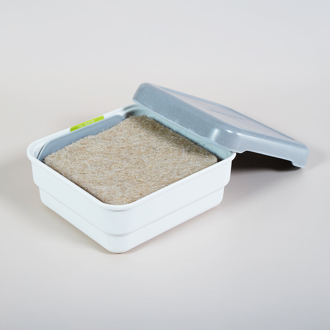 Micropod Mini grow tray shown from multiple angled views, a compact system for growing microgreens at home to pair with Seed Cube feeding.