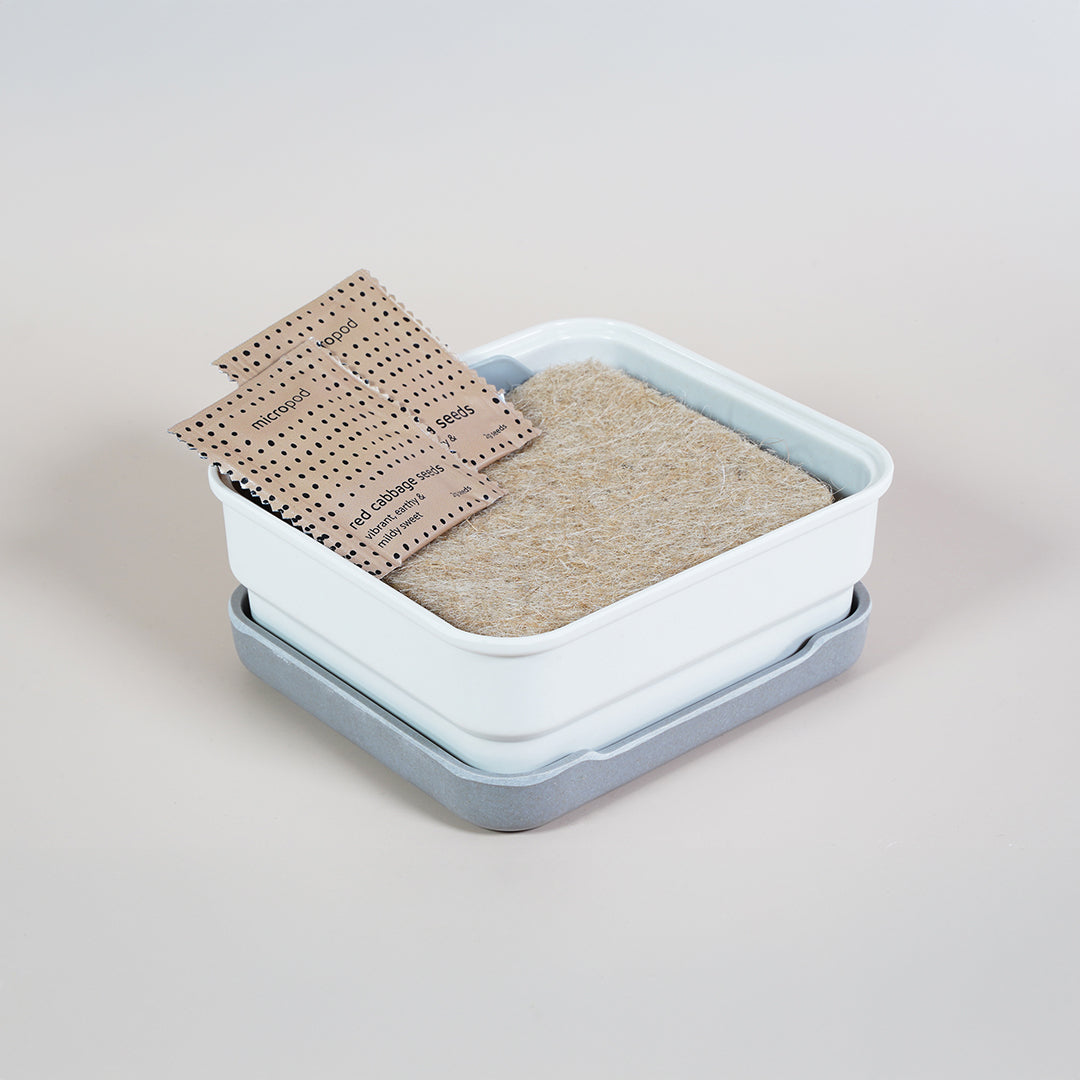 Micropod Mini Kit with tray, grow mats and seed packs displayed together, a simple microgreens starter set that complements Seed Cube feeding for birds.