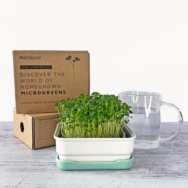 Micropod Mini Starter Kit growing microgreens indoors, a simple setup that complements Seed Cube for bird-friendly feeding.