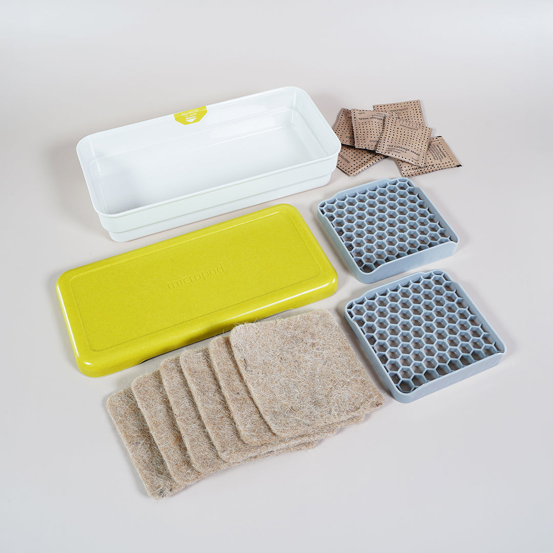 Flat lay of the Micropod Starter Kit with tray, grow mats and lid, a complete microgreens growing set that complements Seed Cube feeding for birds.