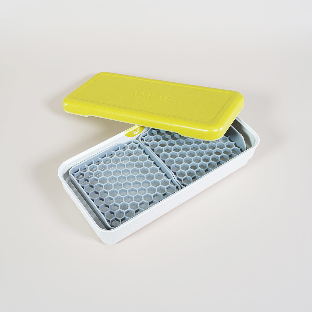 Micropod Starter Kit featuring a grass-coloured lid with honeycomb trays, designed for clean microgreens growth and pairing with Seed Cube bird feeding.