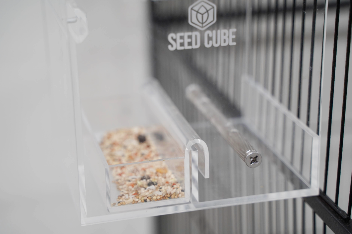 Seed Cube with an Easy-Tray insert holding familiar food for clean feeding