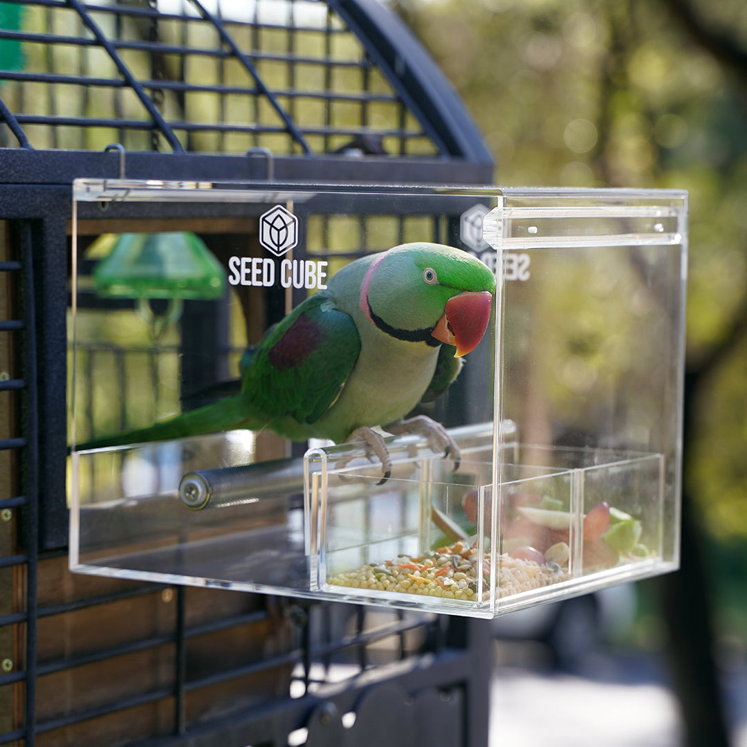 Tray for large cockatoo and galah cages – Seed Cube