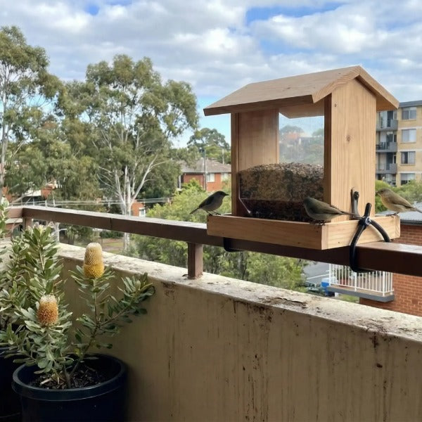 Wooden hanging bird feeder with seed tray on an apartment balcony, small birds feeding beside a banksia plant